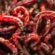 Alimento Para Peixes - Bloodworm